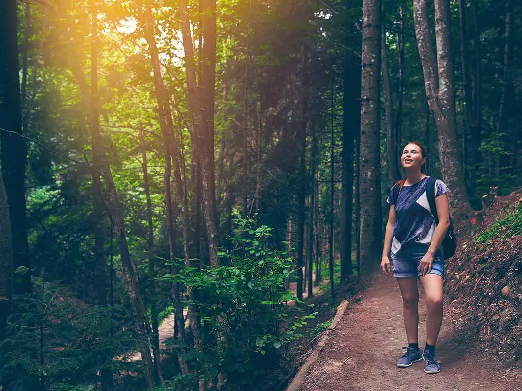 The Power of Mental Health: Embracing Nature for Optimal Well-Being