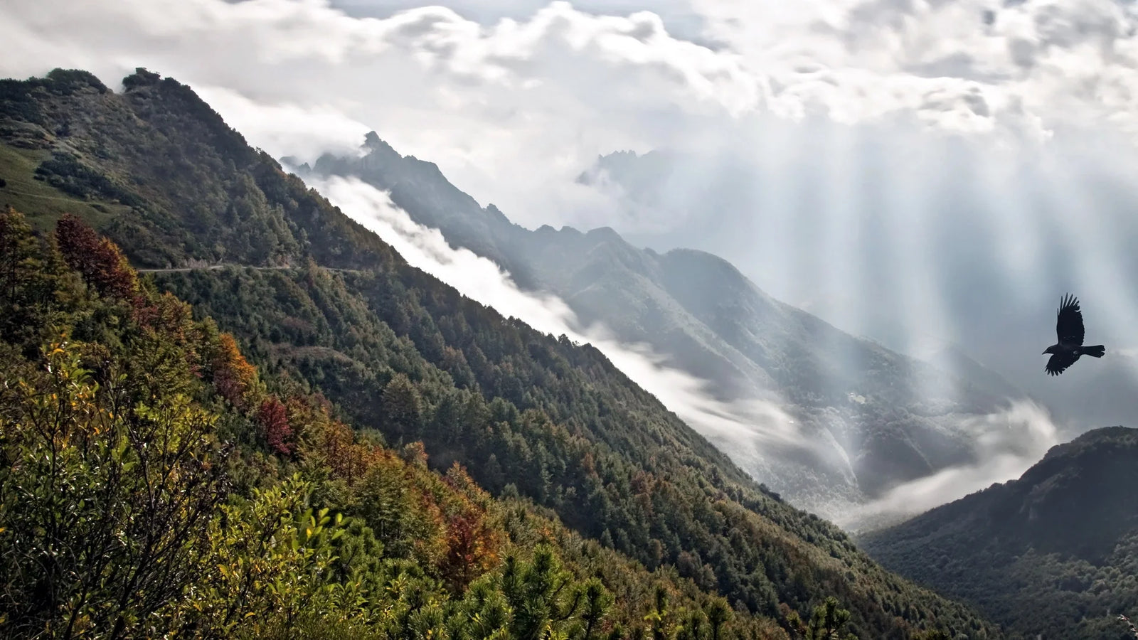 Importance of Perseverance: Why Doubt Should Never Derail Your Dreams