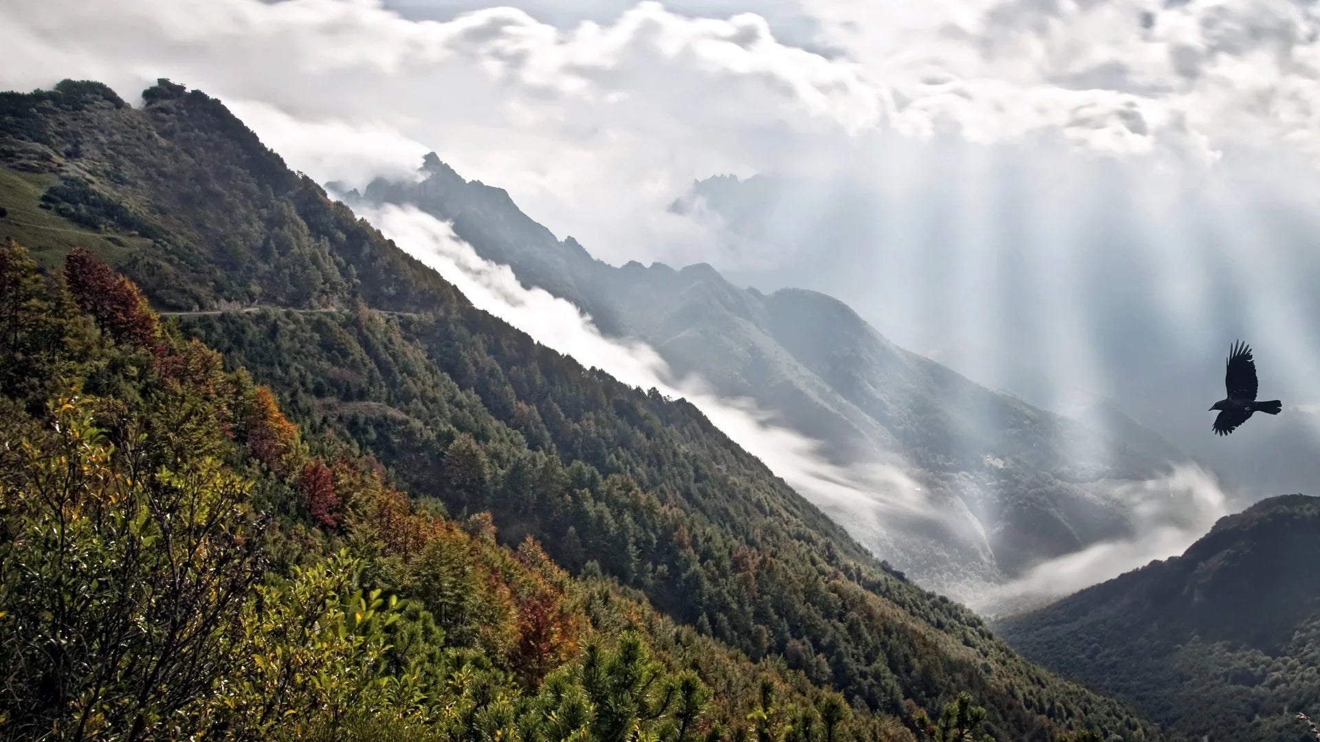 Importance of Perseverance: Why Doubt Should Never Derail Your Dreams