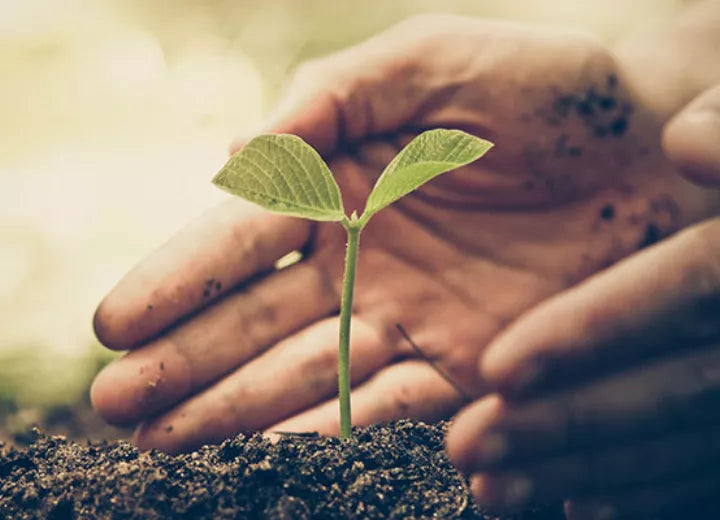 Embracing Change: Navigating a Transformative World